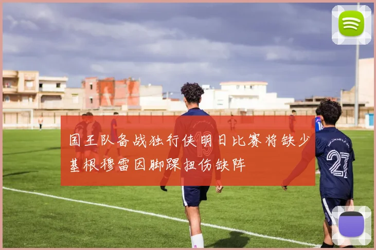 国王队备战独行侠明日比赛将缺少基根穆雷因脚踝扭伤缺阵